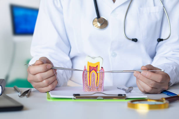 Best Same-Day Emergency Dental Services in Pleasant Garden, NC